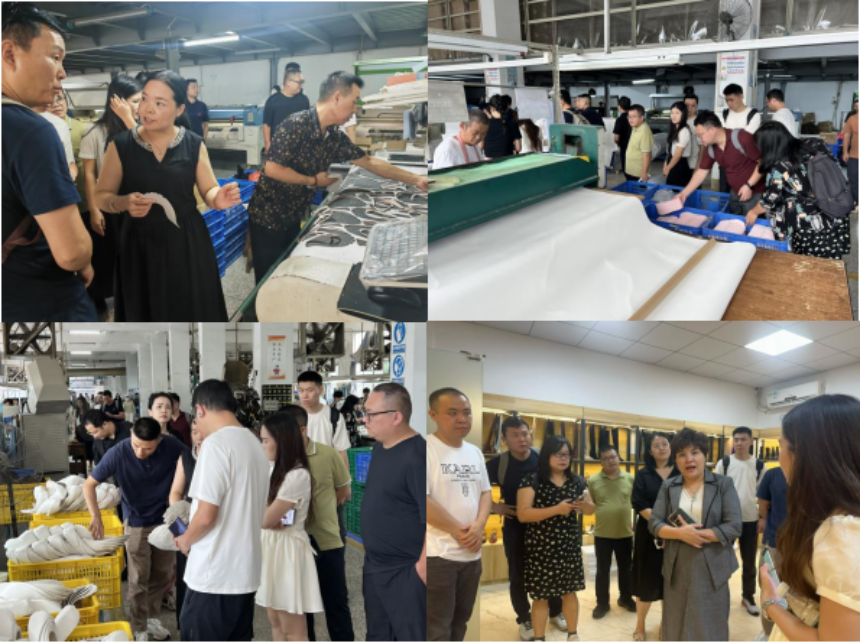 “惠东女鞋·跨境扬帆”——2025年“跨境电商+惠州市惠东县女鞋产业带”助力“百千万工程”专场活动在深启动，助推鞋业出海新路径(图5)